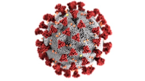 ウイルスのイメージ画像（画像提供：CDC）