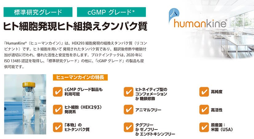 ヒト細胞発現ヒト組換えタンパク質:『HumanKine(R)(ヒューマンカイン)』は、HEK293 細胞発現の組換えタンパク質(リコンビナント)です。ヒト細胞を用いて 発現されたタンパク質であり、翻訳後修飾や糖鎖付加が適切に行われ、優れた活性と安定性を示します。プロテインテックは、2020年にISO 13485 認証を取得し、「標準研究グレード」の他に、「cGMP グレード」の製品も提供可能です。