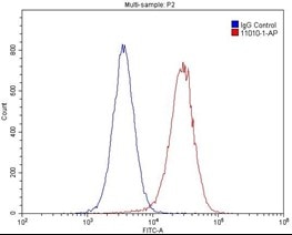 GABARAPL1-Specific抗体のフローサイトメトリー検証