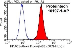 HDAC1 抗体のフローサイトメトリー検証