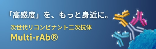 プロテインテック　二次抗体