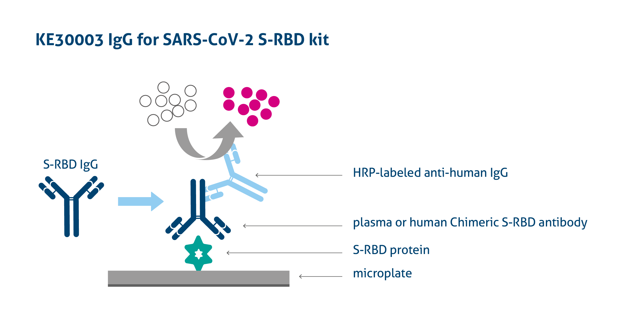ELISAキットによるSARS-Cov-2 RBD抗体（IgG）の検出原理