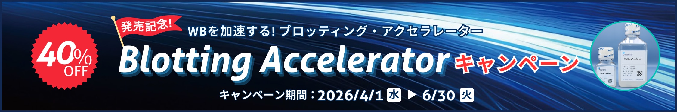 WB　抗体希釈　バッファー