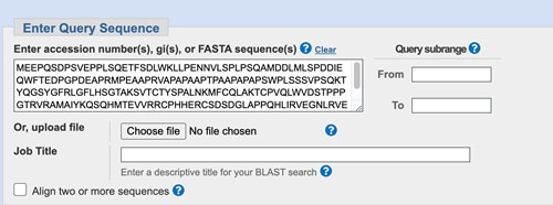 NCBI-BLASTの入力ボックス画像