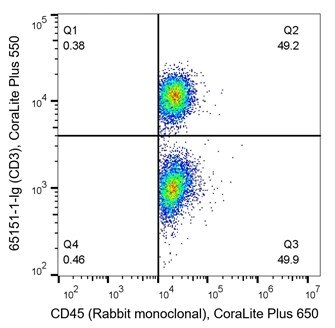 PMBCのフローサイトメトリー（CD45・CD3、フローサイトメトリー、密度プロット、Flexable Kit、CoraLite）