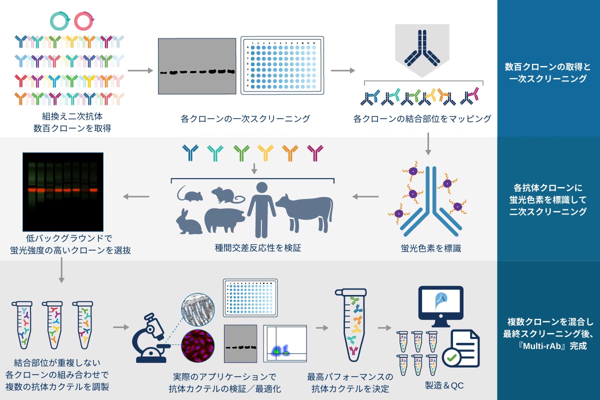 マルチ・ラブ開発プロセス