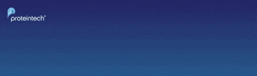 プロテインテック 抗体