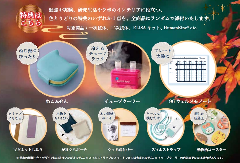 プロテインテック　キャンペーン