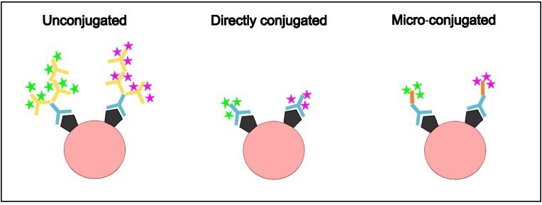 検出法の比較の模式図（Unconjugated・Directly conjugated・Micro-conjugated）