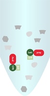 共免疫沈降用ライセートの模式図