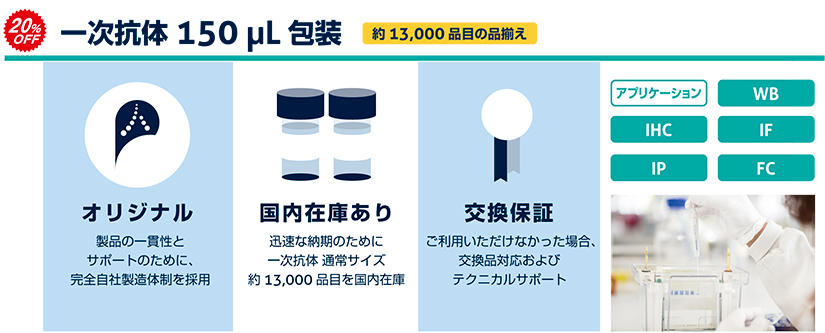 一次抗体150 μL包装【オリジナル:製品の一貫性とサポートのために、完全自社製造体制を採用】【国内在庫あり:迅速な納期のために一次抗体通常サイズ約13,000 品目を国内在庫】【交換保証:ご利用いただけなかった場合、交換品対応およびテクニカルサポート】
